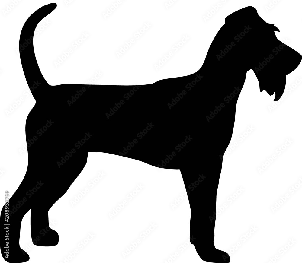 Irish Terrier silhouette black