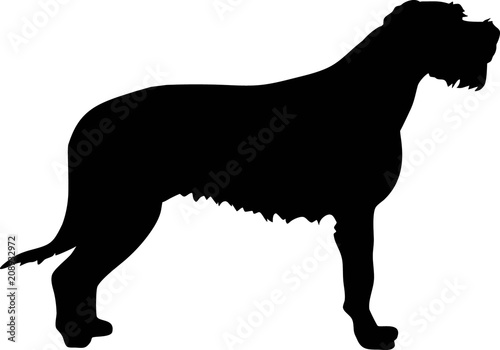 Irish Wolfhound silhouette black photo