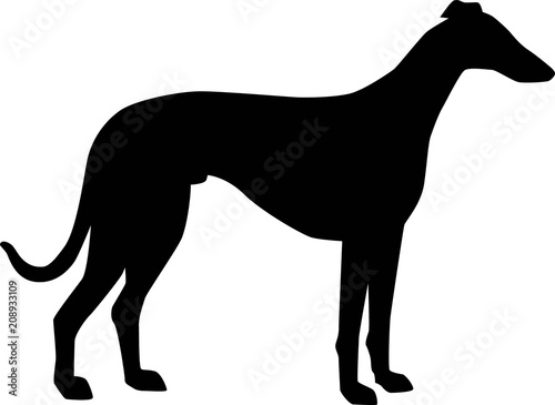 Tablou Canvas Italian Greyhound silhouette black