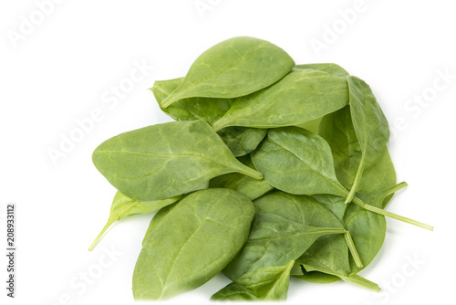 Healthy green spinach on the white background