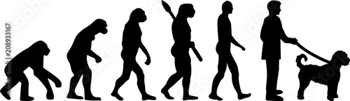 Labradoodle evolution