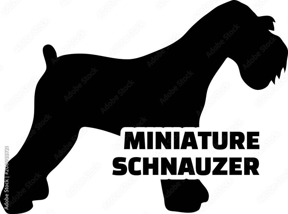 Miniature Schnauzer silhouette real word