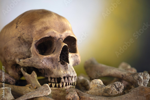 Skull and pile bones put on the wooden plank which has image moonlight on the wall background