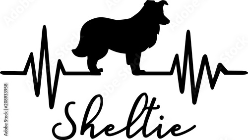 Shetland Sheepdog Sheltie heartbeat word