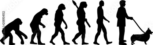 Welsh Corgi Pembroke evolution