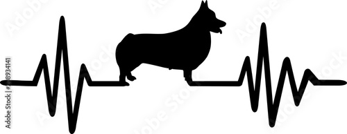 Welsh Corgi Pembroke heartbeat