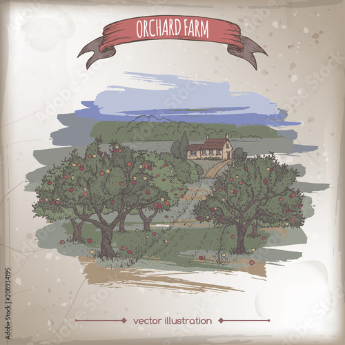 Farmhouse and orchard color vector sketch.