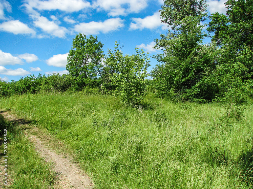 nature sunny summer day with blue sky and white clouds nature sunny summer day with blue sky and white clouds