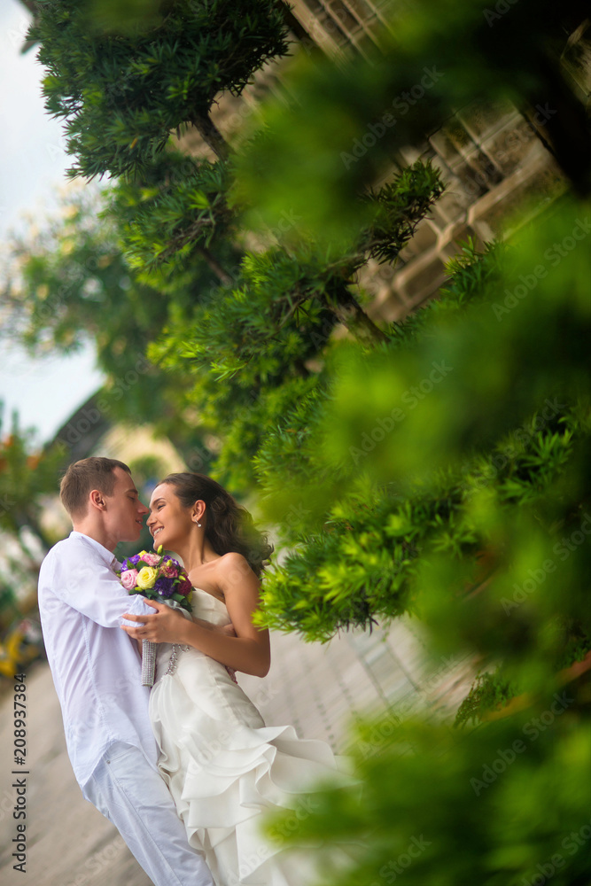 The groom dressed in white kissing a beautiful bride. Wedding couple kissing in the middle of green plants in the Park The groom dressed in white kissing a beautiful bride. Wedding couple kissing in the middle of green plants in the Park