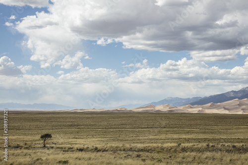 Giant Desert Dunes