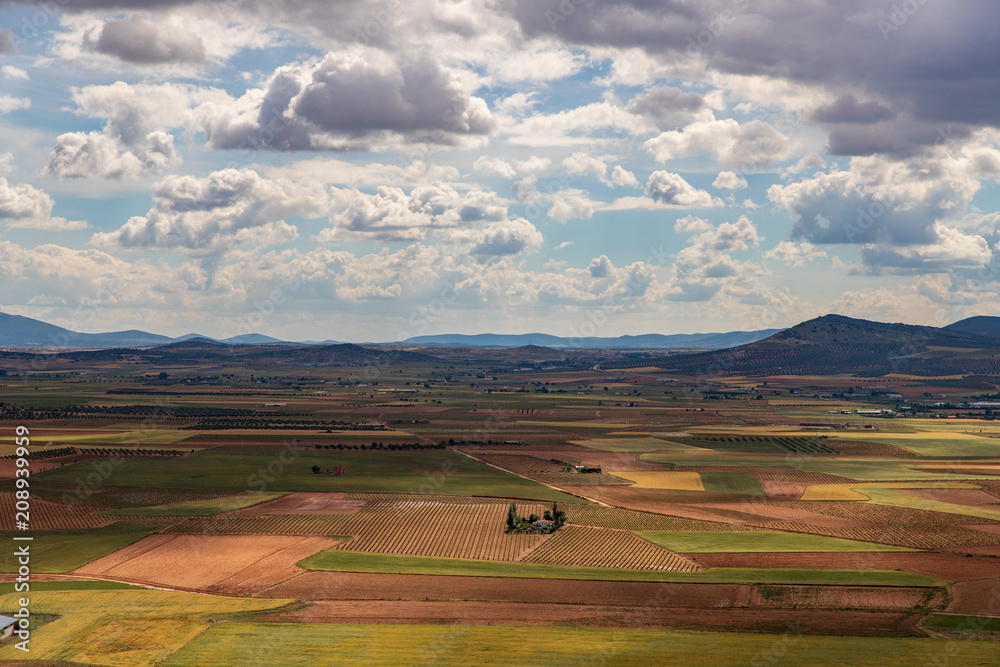 Obraz premium コンスエグラの農地