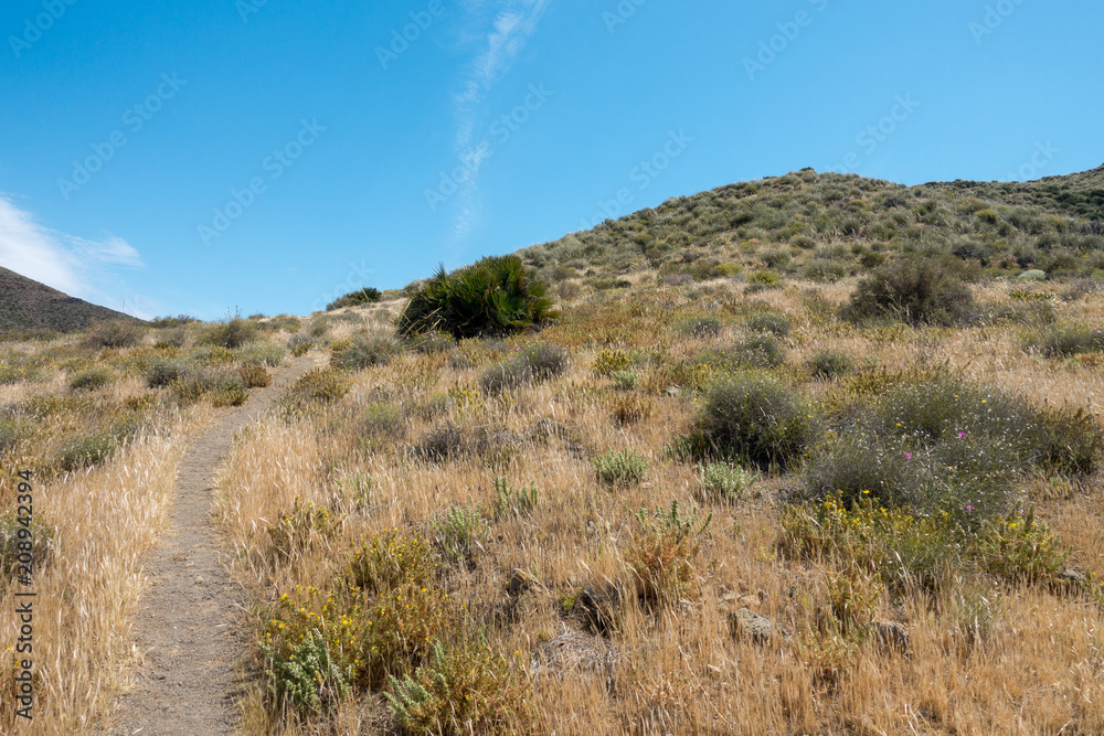 Mountains under the blue sky in the desert of almeria Mountains under the blue sky in the desert of almeria