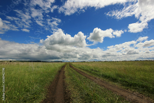 summer landscape with road in the field against the horizon with blue sky and clouds