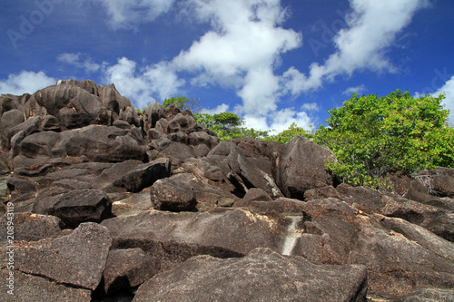 Interior of Curieuse Island, Seychelles