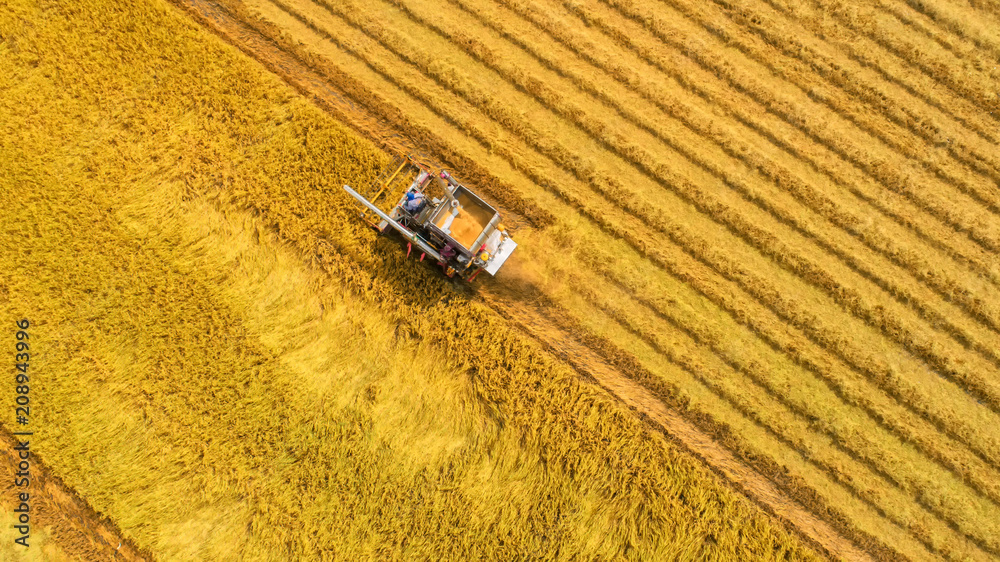 Combine harvester machine with rice farm.Aerial view and top view. Beautiful nature background. Combine harvester machine with rice farm.Aerial view and top view. Beautiful nature background.