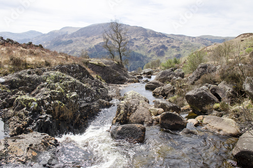 River Flowing through National Park