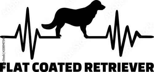 Flat Coated Retriever heartbeat word