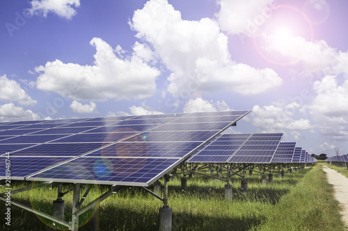 Solar Farm Energy With Sunset