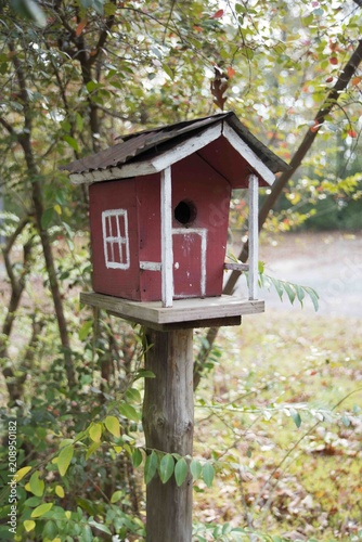 Autumn birdhouse in Arkansas 