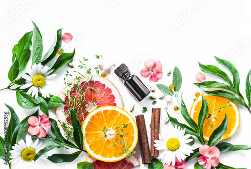 Essential oil for beauty skin. Flat lay beauty ingredients on a light background, top view. Beauty healthy lifestyle concept. Copy space