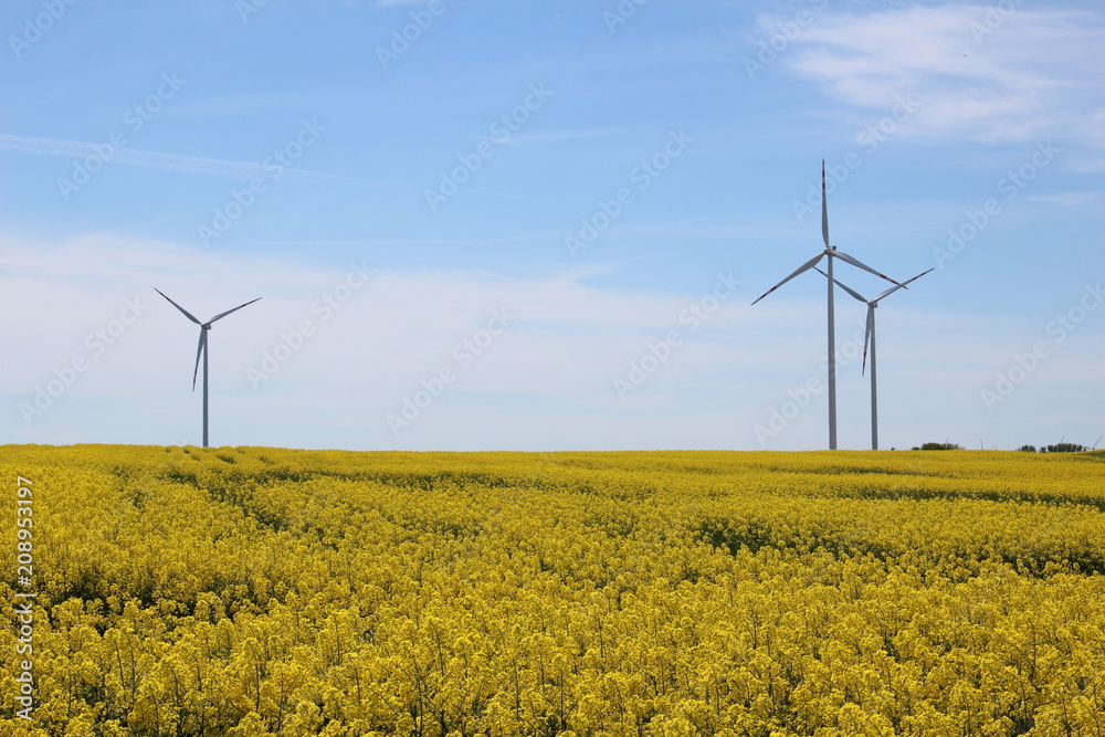 Ferma wiatrowa wiosną Ferma wiatrowa wiosną