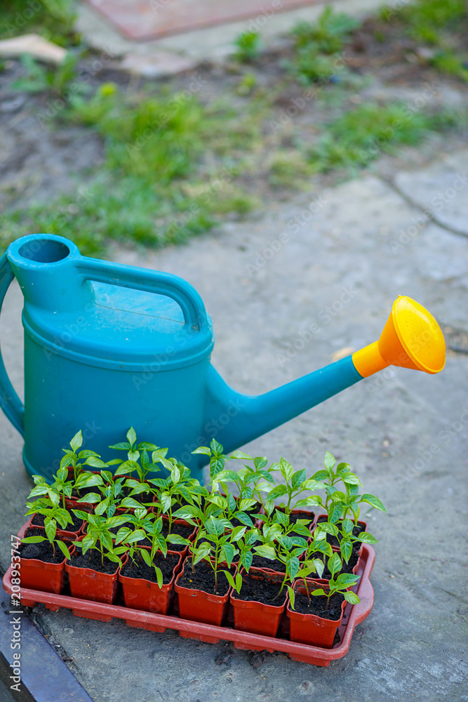 Gardening on a country site in the spring and summer season Gardening on a country site in the spring and summer season
