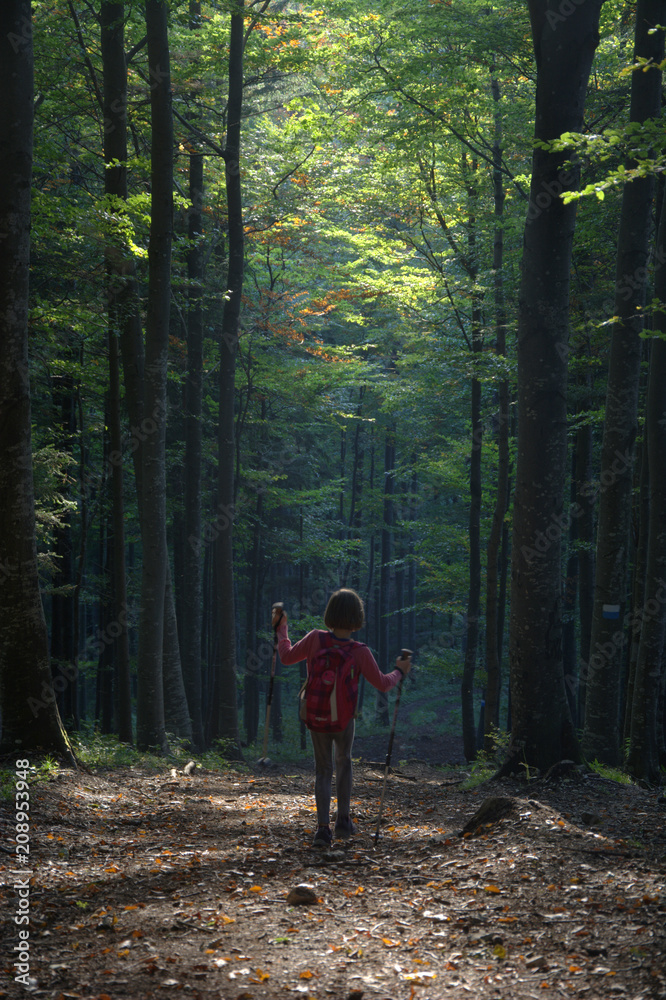 Wandern Wandern