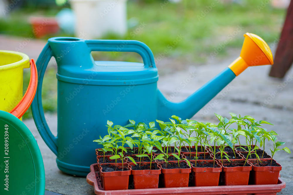 Gardening on a country site in the spring and summer season Gardening on a country site in the spring and summer season
