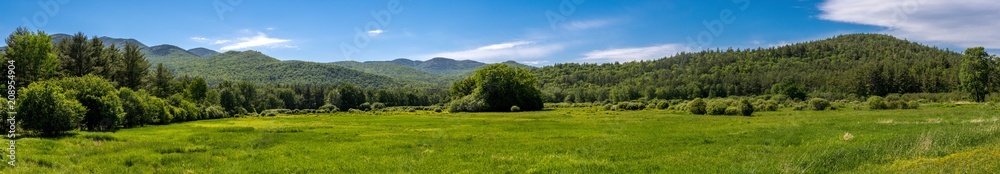 Panoramic view of a glade within a forest in the Adirondacks Mountains - obrazy, fototapety, plakaty 