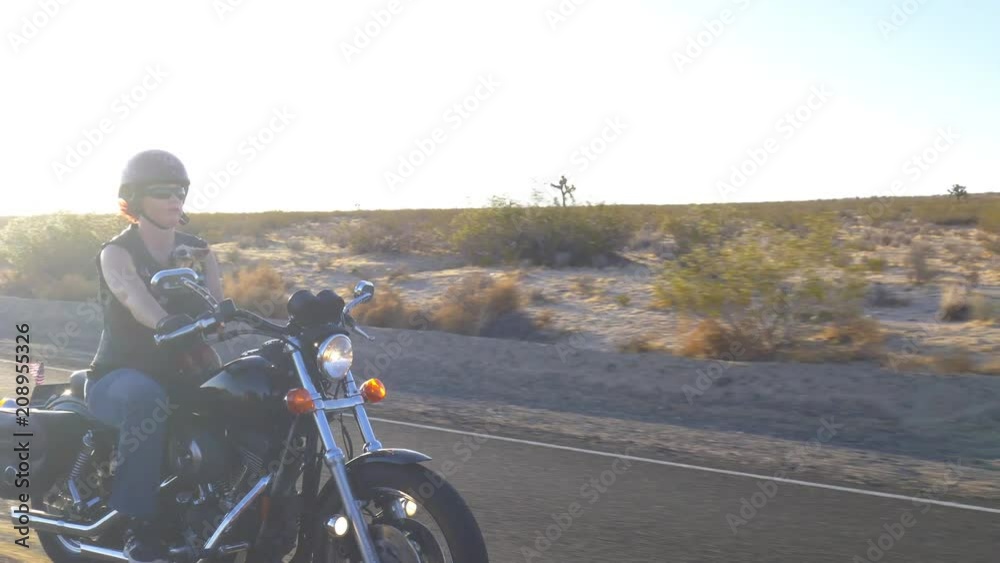 Woman on Motorcyle with Dog Woman on Motorcyle with Dog