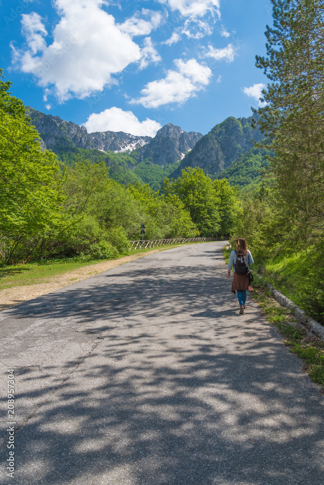 Obraz premium National Park of Abruzzo, Lazio and Molise (Italy) - The spring in the italian mountain natural reserve, with landscapes, wild animals, little old towns, the Barrea Lake and Camosciara park