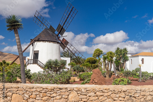 Fuerteventura alte Windmühle und Palmen im Museo del Queso Majorero photo