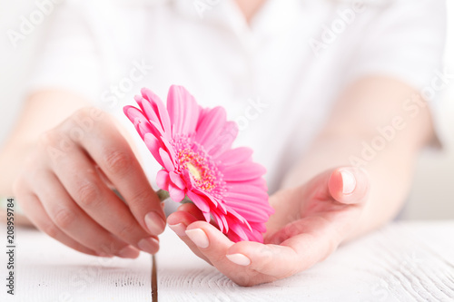 Woman hygiene conception. Pink flower gerbera in female hands photo