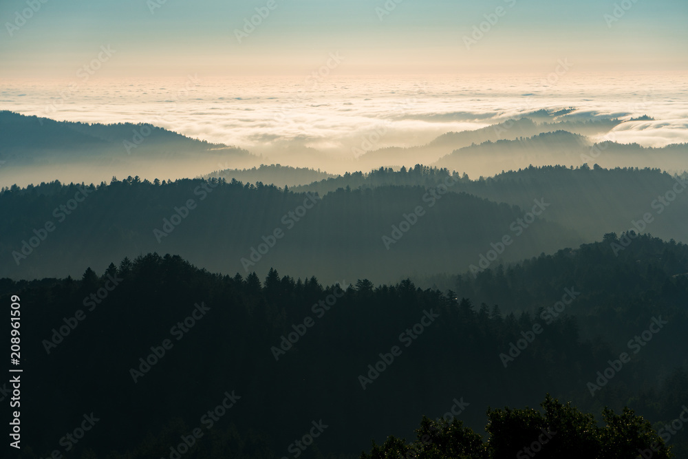 Fog and clouds rolling in over the hills of Russian Ridge in the Bay Area
