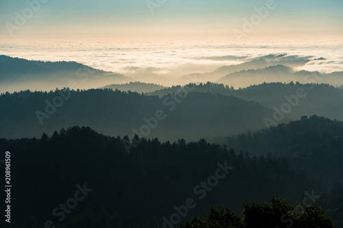 Fog and clouds rolling in over the hills of Russian Ridge in the Bay Area