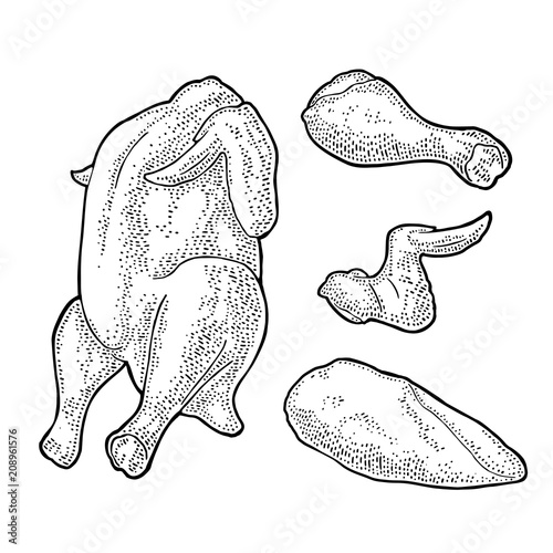 Whole, leg, wing raw chicken. Vintage black engraving illustration