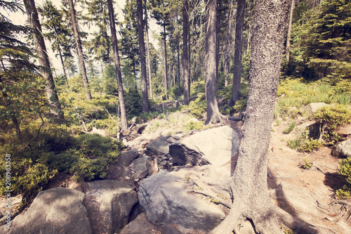 Landscape of table mountains, Stolowe Mountains National Park in Poland