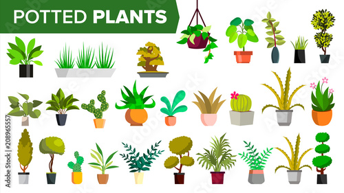 Potted Plants Set Vector. Green Color Plants In Pot. Indoor Home, Office Modern Houseplants. Various. Floral Interior Icon. Decoration Design Element. Isolated Illustration