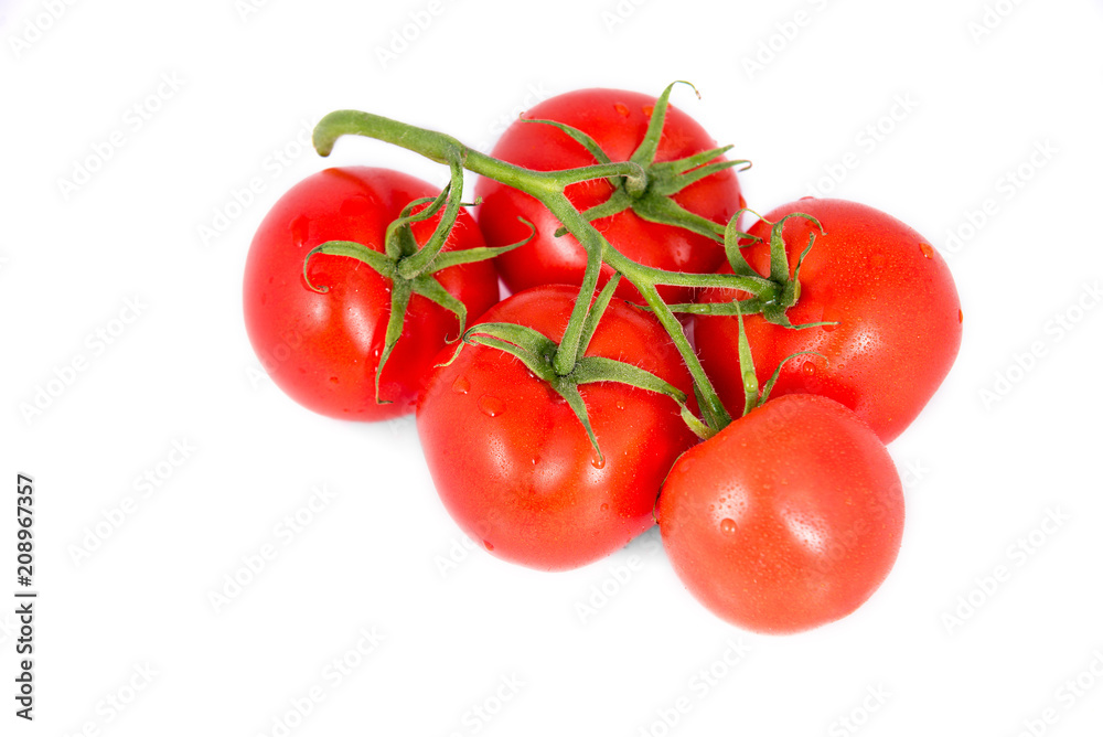 Tomato branch isolated on white background Tomato branch isolated on white background