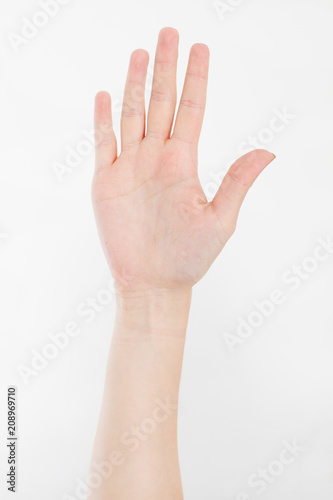 hand isolated on white.Voting hand. Mock up. Copy space. Template. Blank. © paulcannoby