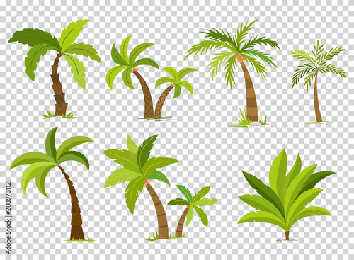 Palm trees isolated on transparent background. Beautiful vectro palma tree set vector illustration