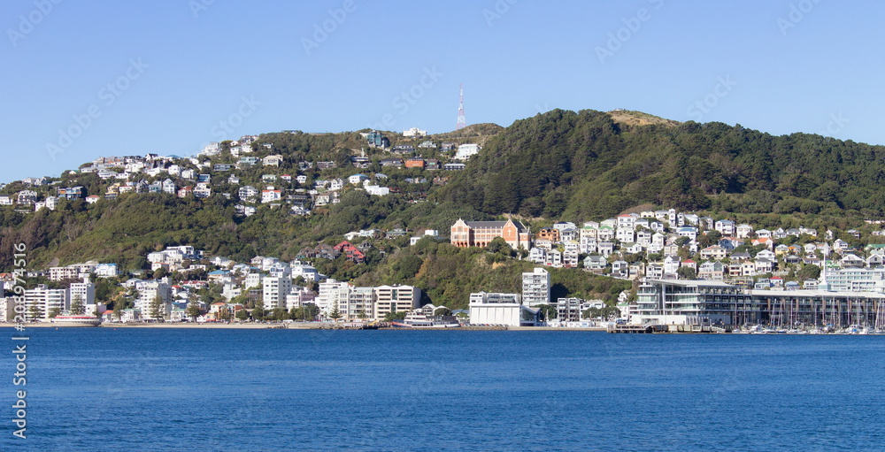 Landscape view of Wellington City, New Zealand, along Oriental Parade below Mount Victoria.
