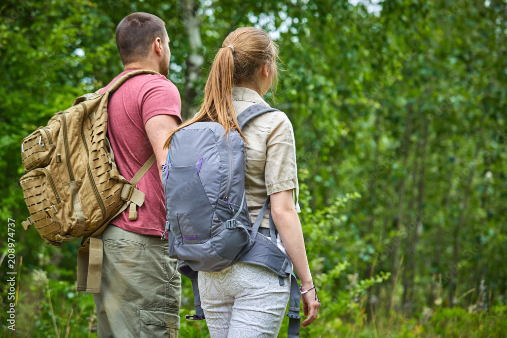 two travelers in the forest two travelers in the forest