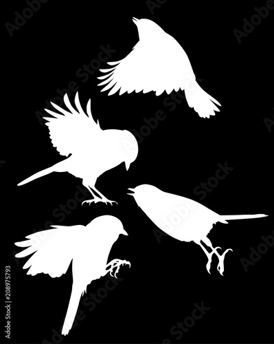 set of four flying tits isolated on black