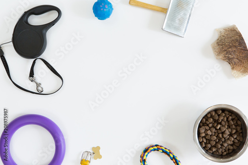 Toys and accessories for pets dog on white background. Top view of dog food, leash, collar, ball and bowl, flat lay, copy space