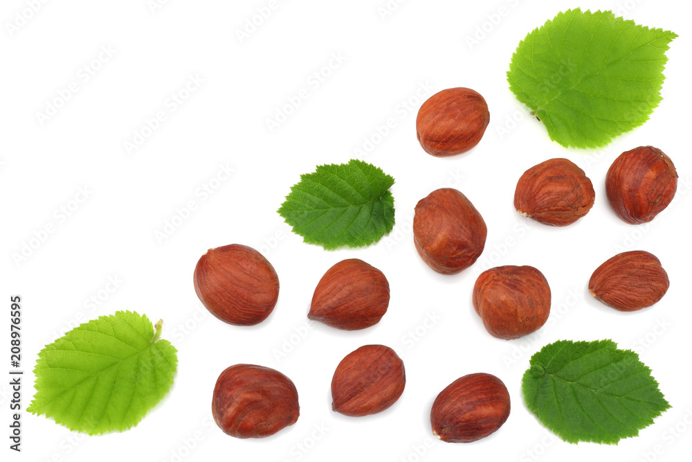 hazelnuts with leaves isolated on white background. top view hazelnuts with leaves isolated on white background. top view