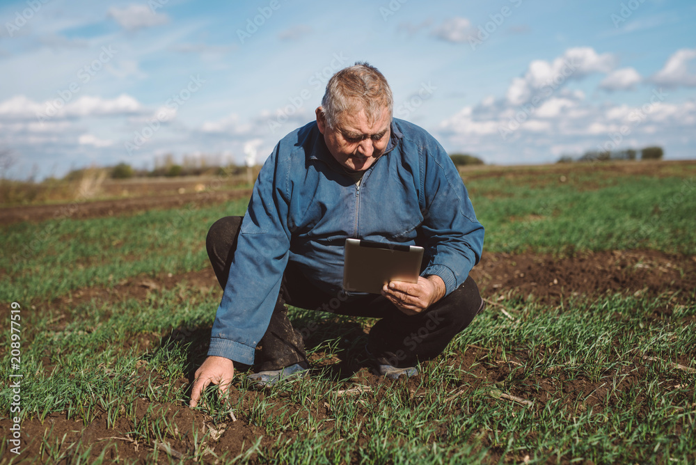 Fototapeta premium Framer controls the work in the field over its tablet