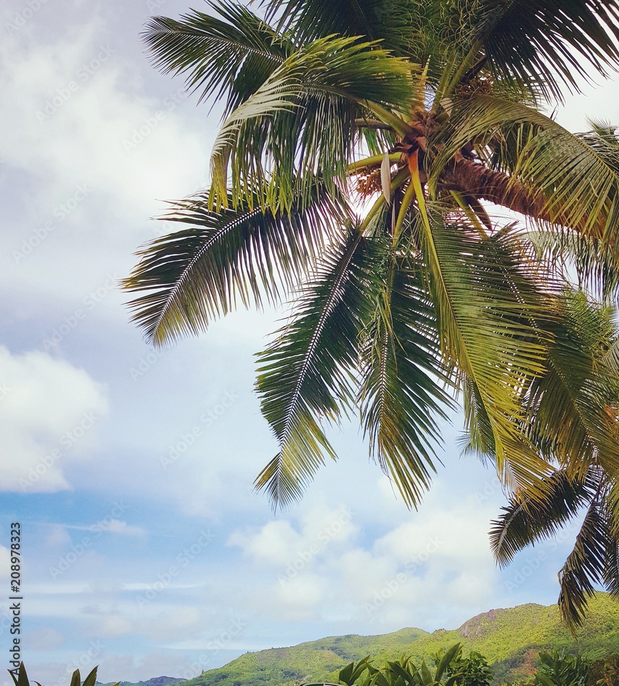 Fototapeta premium Seychelles 01