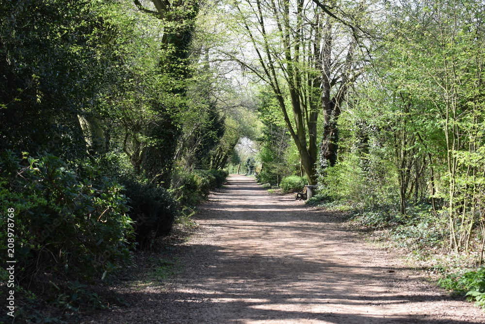 Fototapeta premium jardin des plantes de lille 