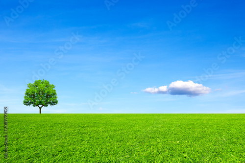Meadow, tree and sky. Natural concept